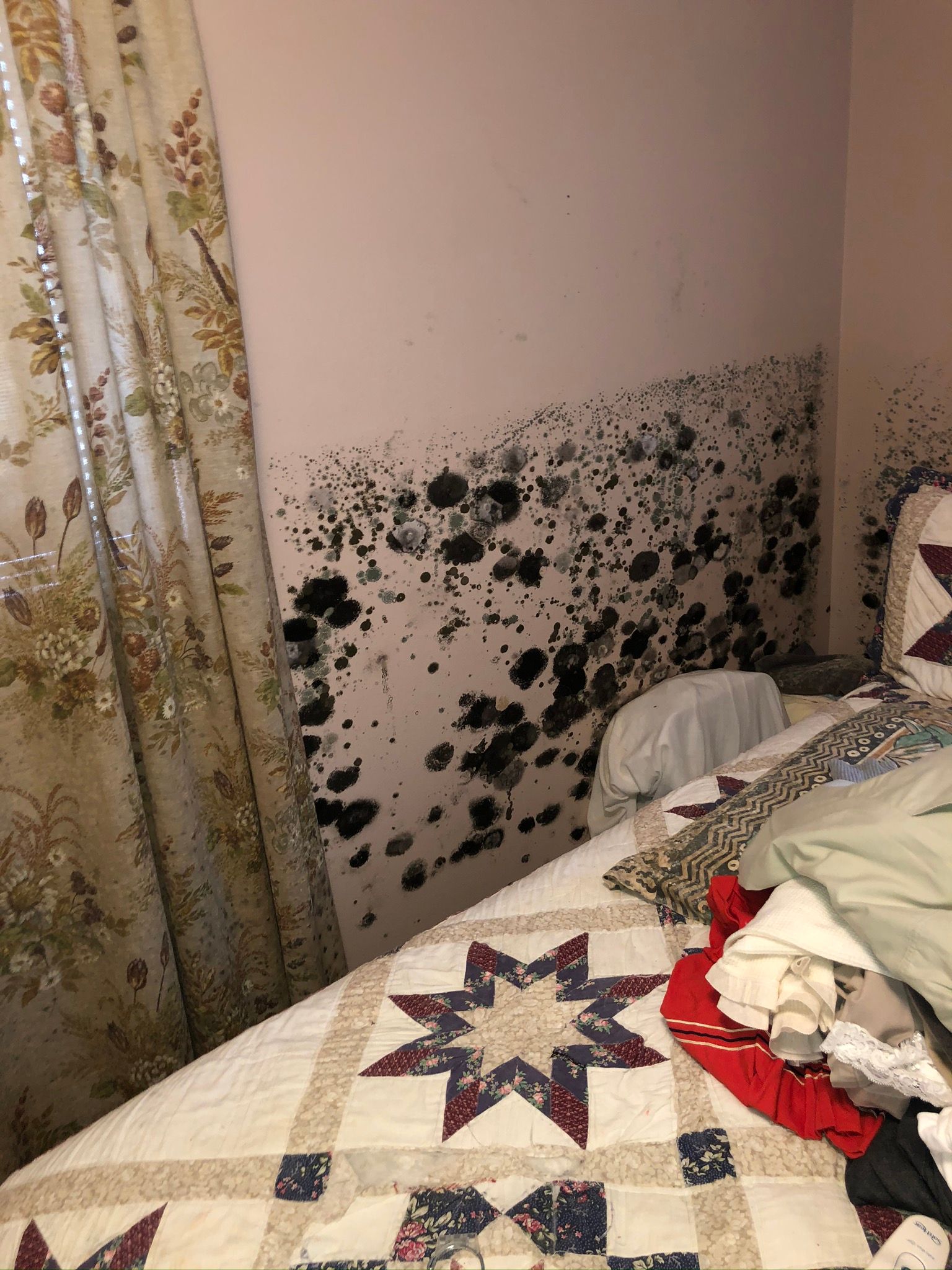 Bedroom wall with black mold growth above a bed with a quilt and curtains nearby