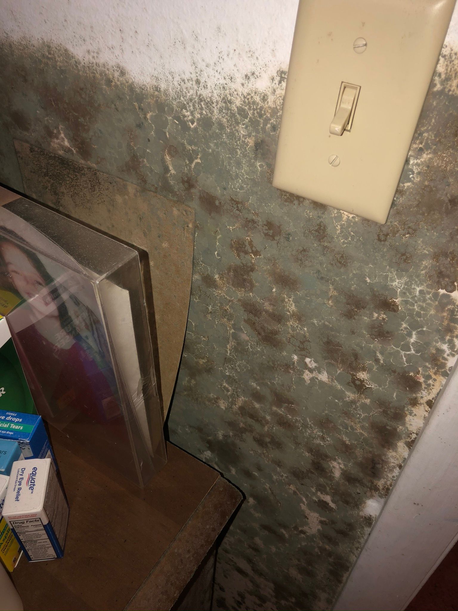 Close-up of a wall with mold or water damage beside a light switch and shelf items