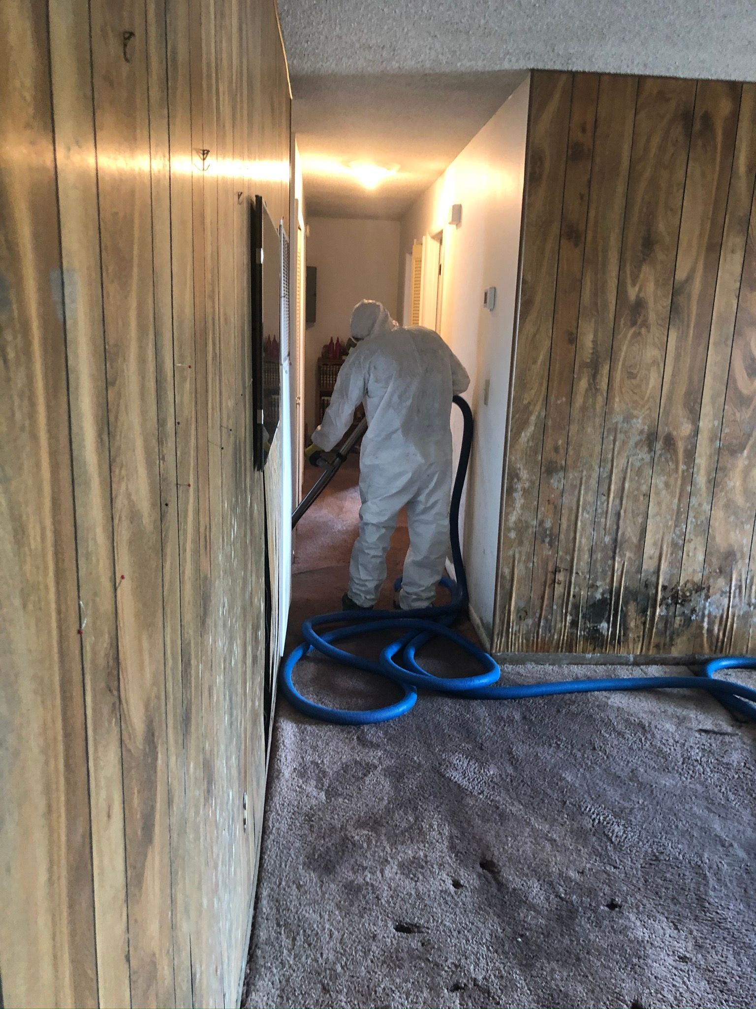 Worker in protective suit cleaning a hallway with hoses on a carpeted floor