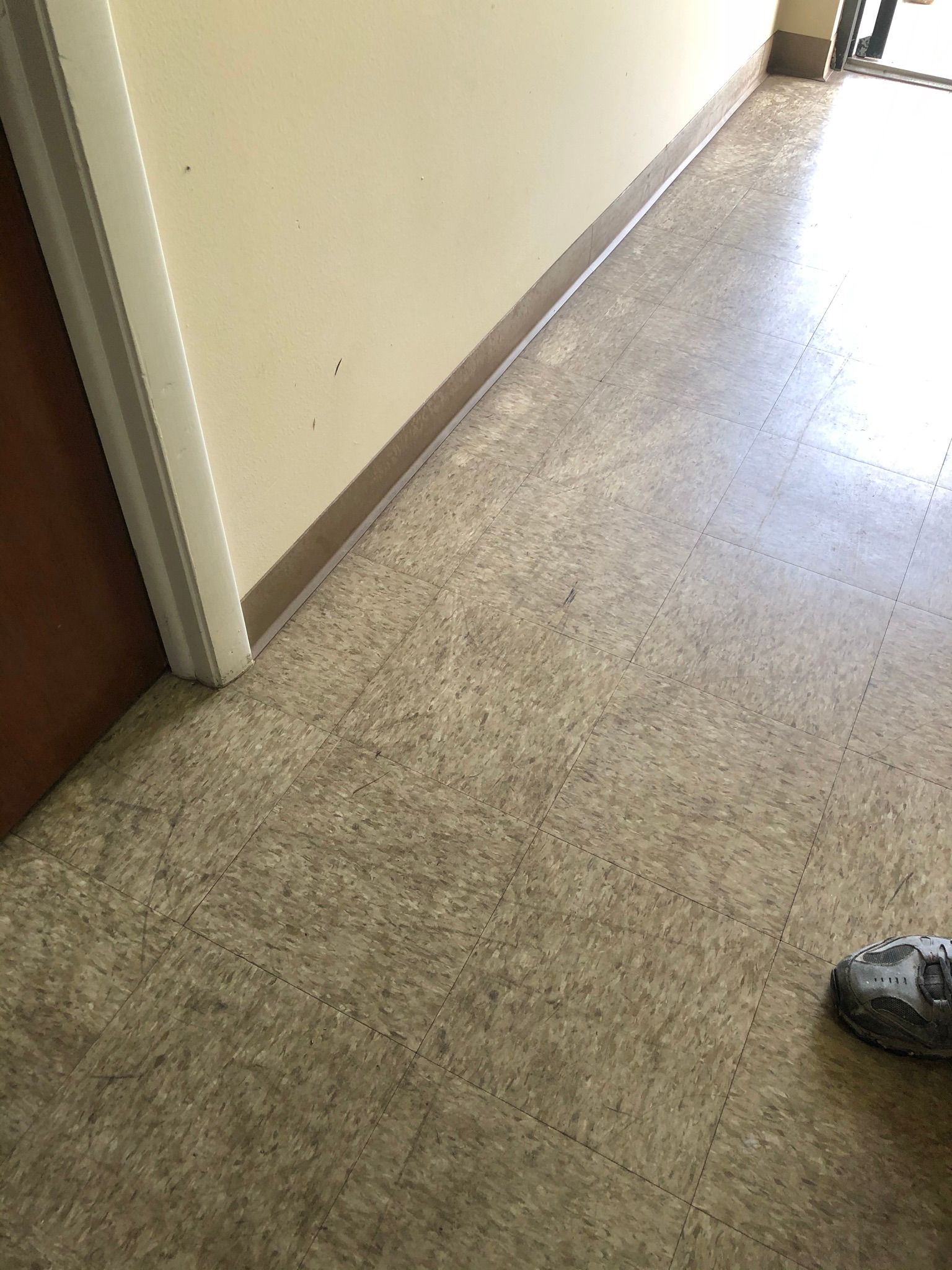 Carpeted hallway with beige walls and a shoe near the bottom right corner