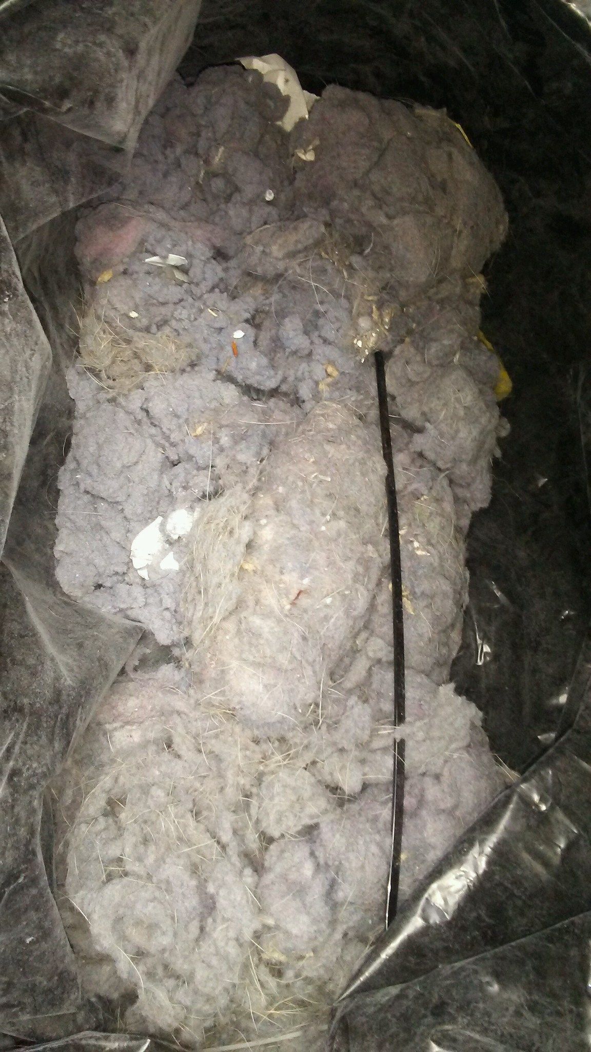 A muddy, lumpy object wrapped in clear plastic, with a dark narrow stick or tool beside it.