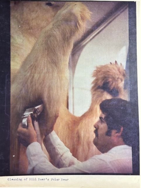 Person sprays a tan lion statue while standing beside another lion figure indoors.