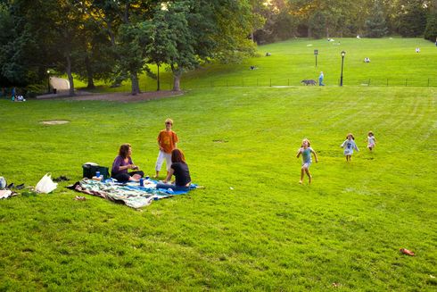 a group of people are having a picnic in a park .
