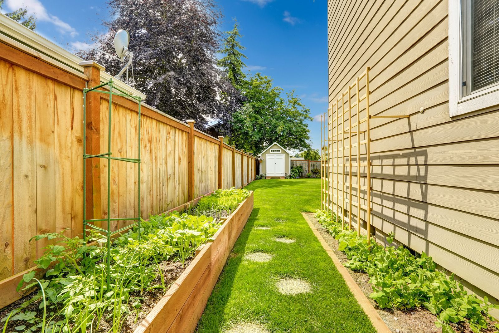 A backyard with a wooden fence, raised garden beds, and a grassy path.