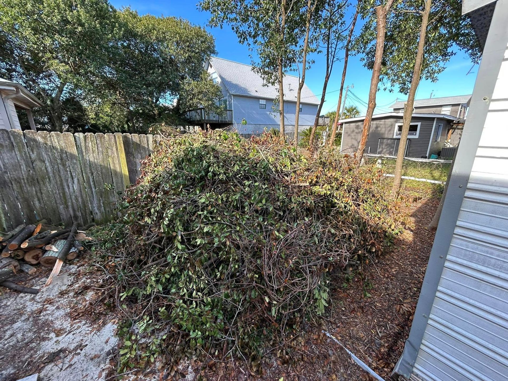 Pile of cut bush trimmings and leaves in a yard, with houses and fence in the background.