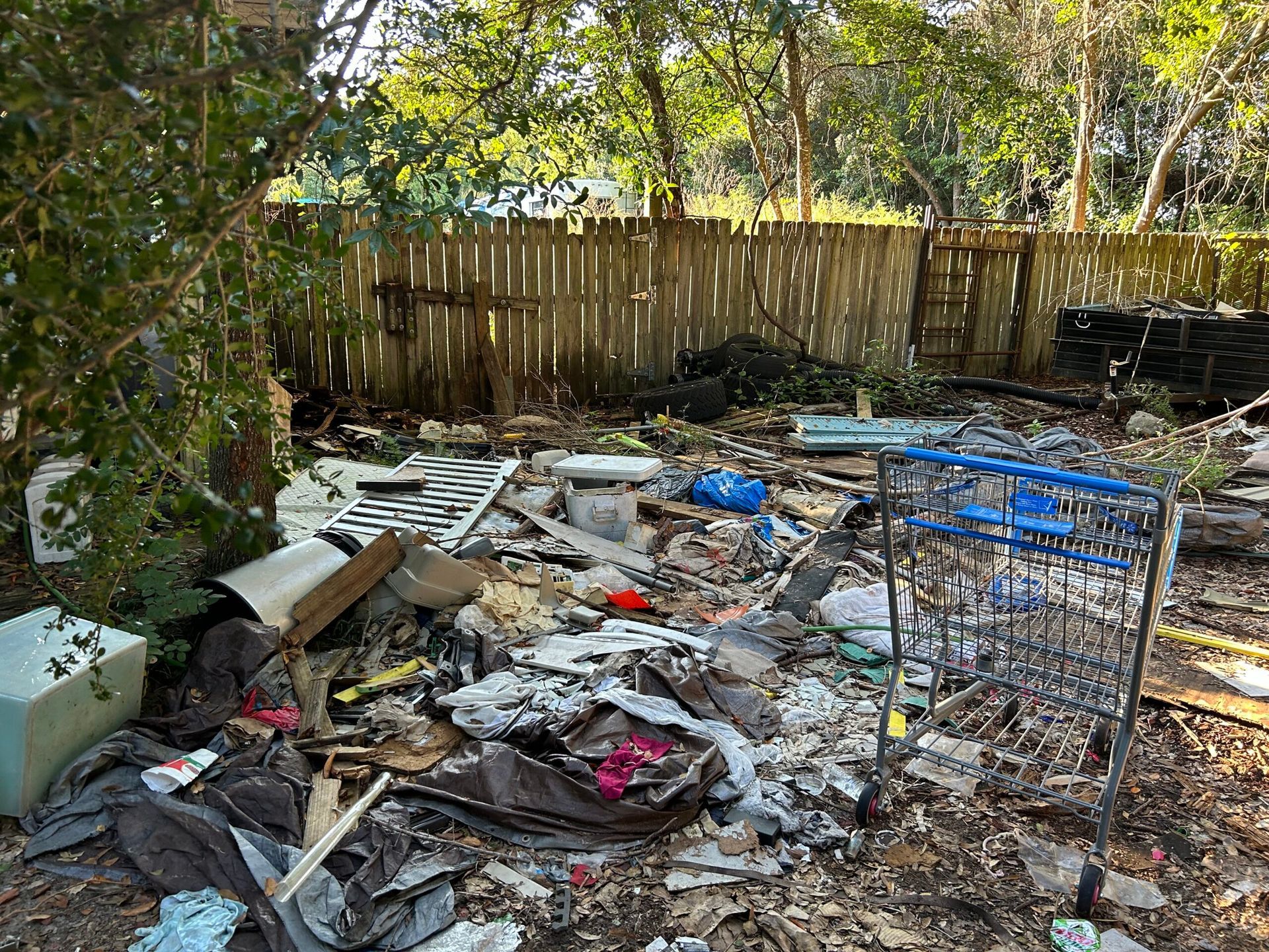 A cluttered backyard with trash, a shopping cart, and a wooden fence. Overgrown with foliage.