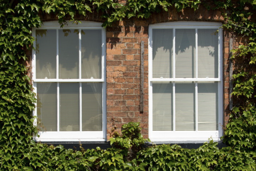 A brick building with two windows covered in ivy.