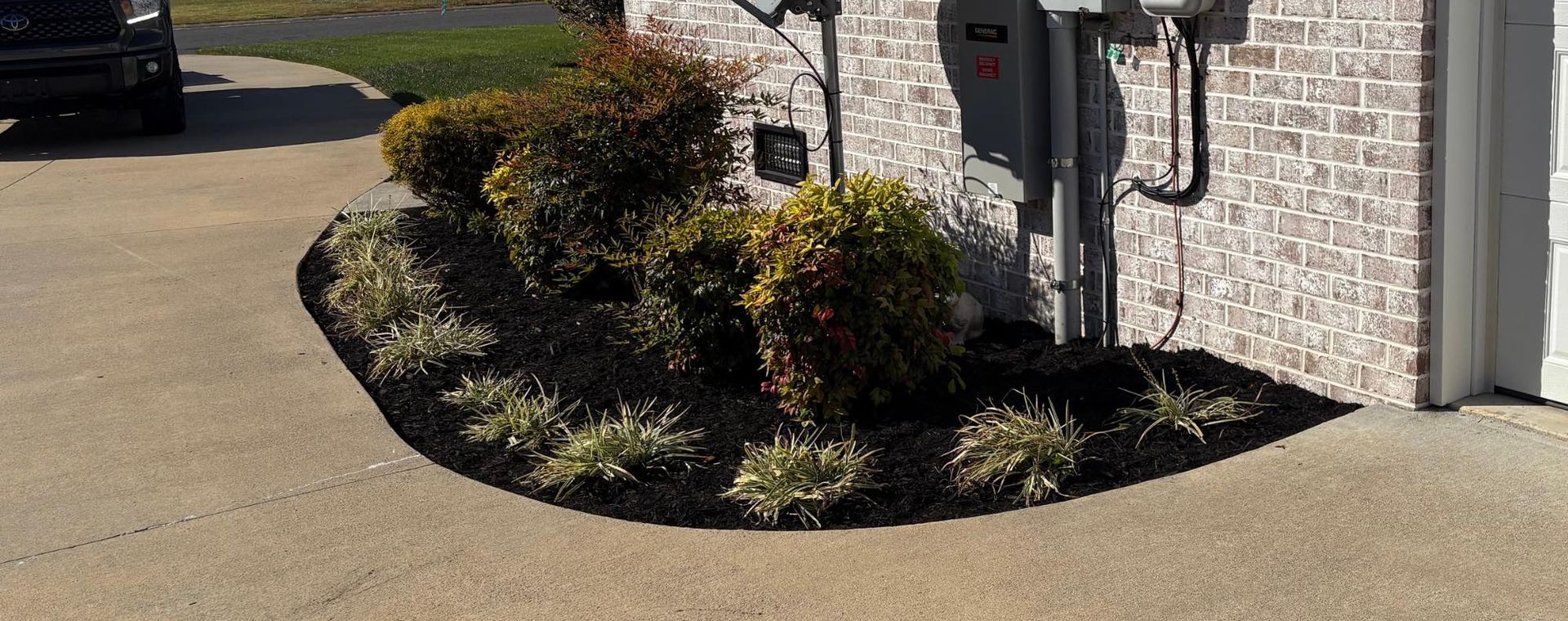 A landscaped flower bed with dark mulch and various green plants next to a brick wall and driveway.