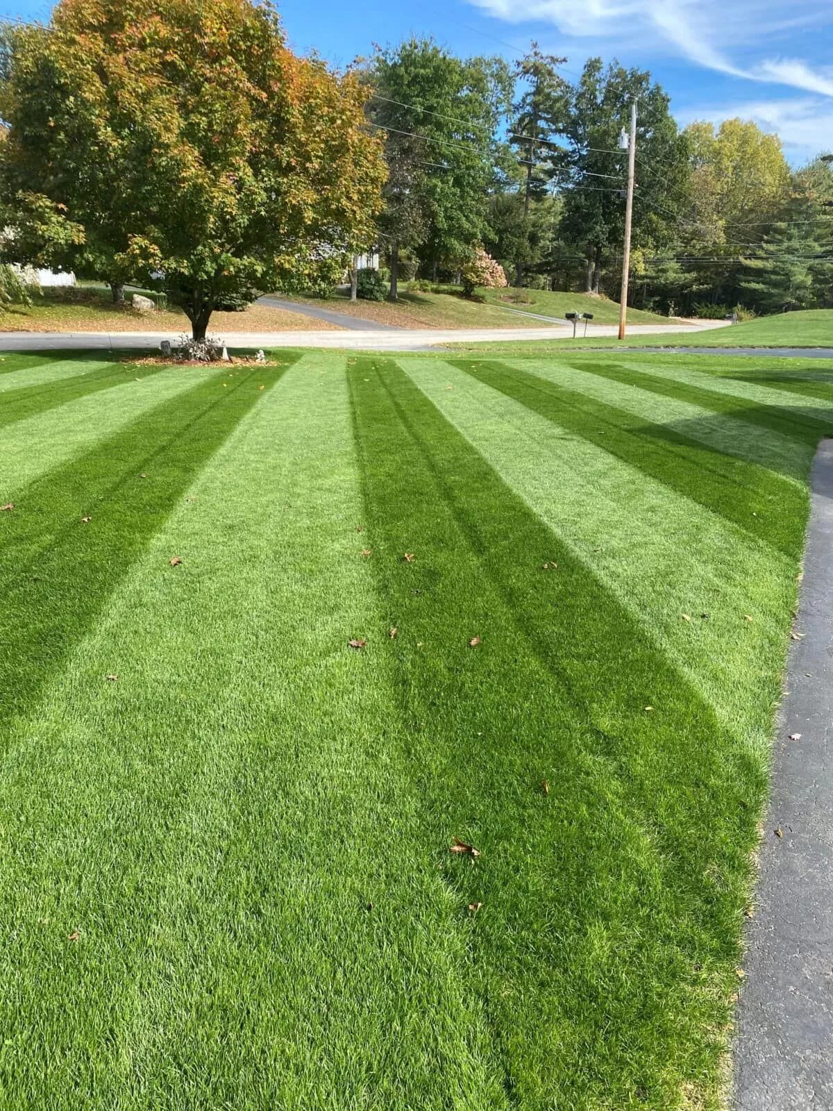 Lawn mowed with alternating light and dark green stripes in front of a house, under a sunny blue sky.