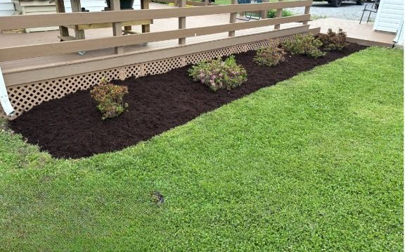 Brown mulch bed with green plants next to a wooden deck and green lawn.
