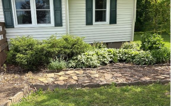 House with green shutters and overgrown garden bed.