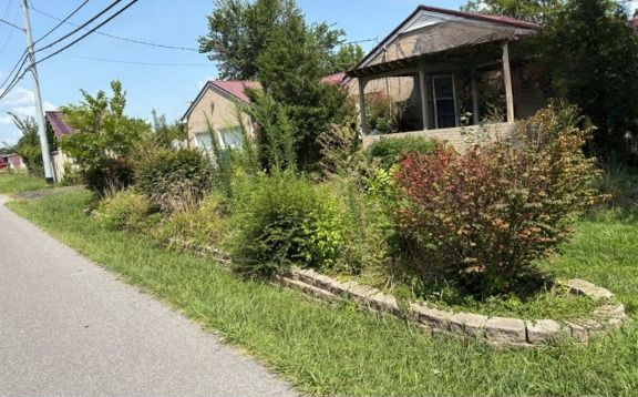 Houses with overgrown landscaping next to a road, on a sunny day.