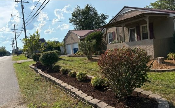 A house with a manicured front yard next to a road. Brown mulch borders the bushes.