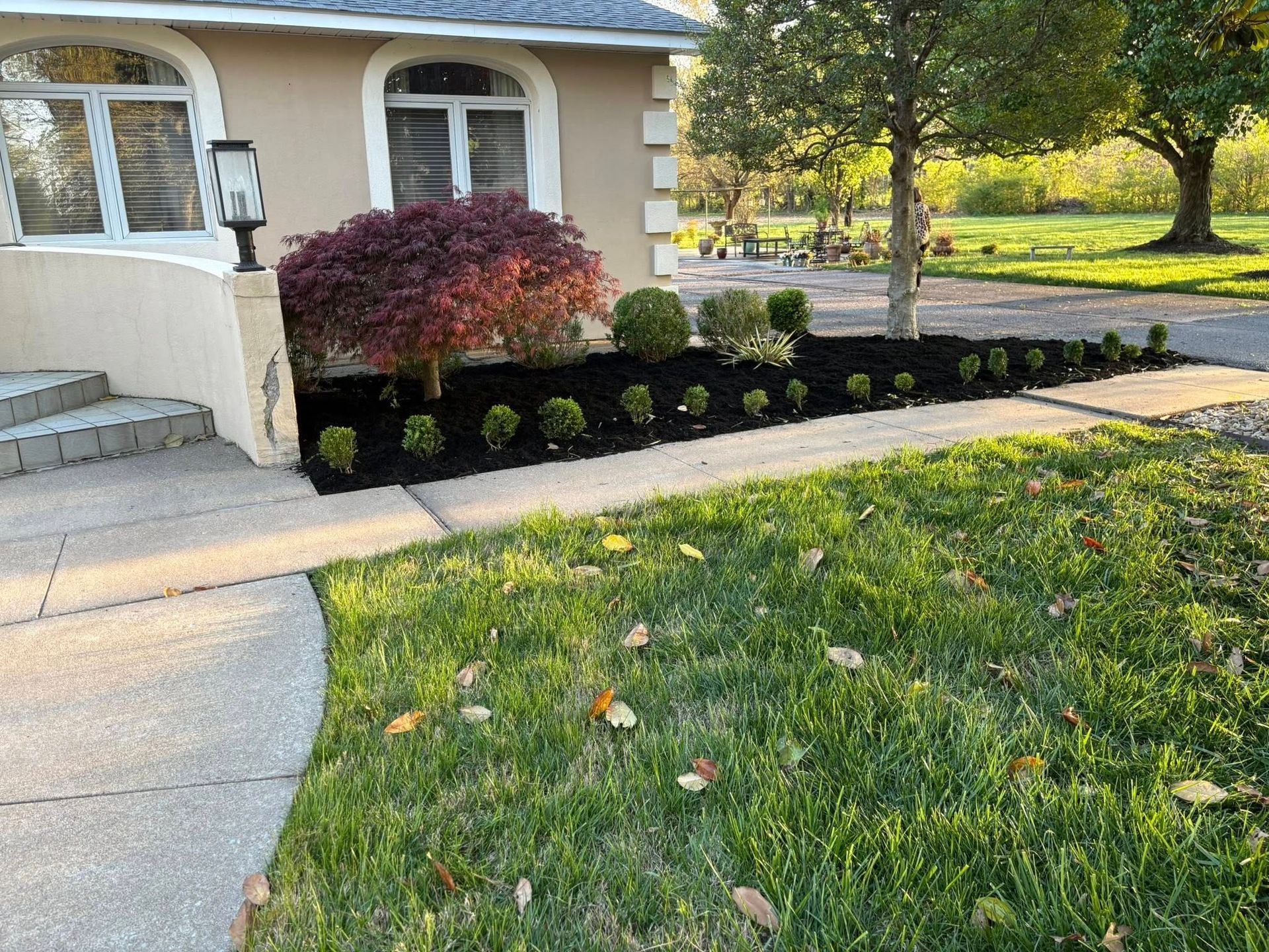House with a landscaped front yard featuring dark mulch, shrubs, and a tree with red leaves.