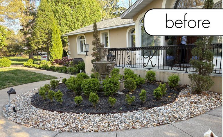 Grassy yard with trees. A channel of fallen leaves runs through the yard.