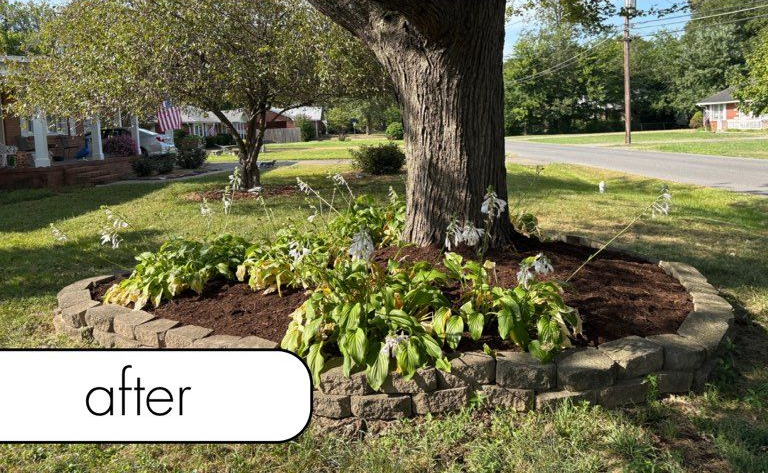 White fence with dark mulch bed, small bushes, brick wall, and blue sky.