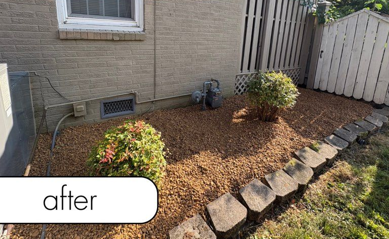 Rocky path through a grassy area, surrounded by trees.