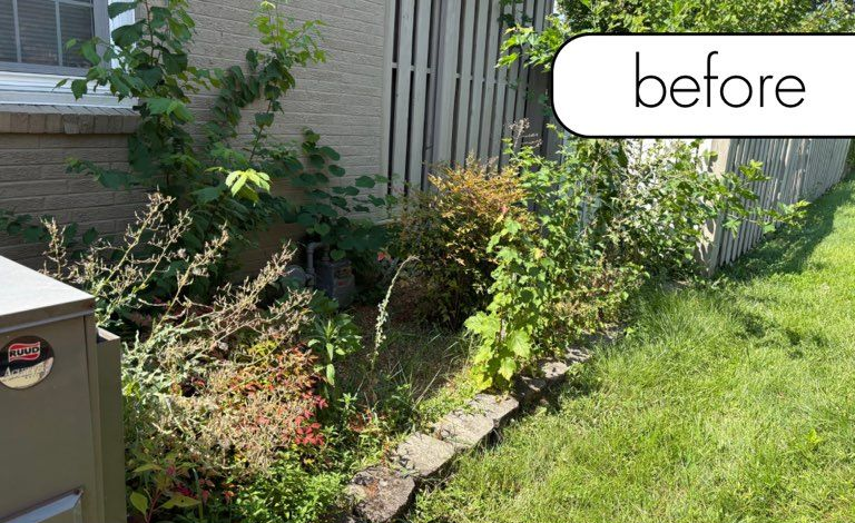 Grassy yard with trees. A channel of fallen leaves runs through the yard.