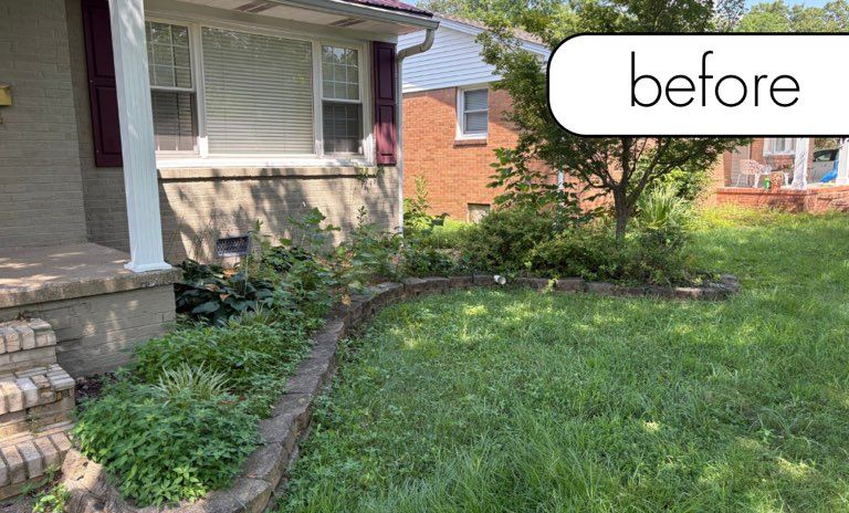 Grassy yard with trees. A channel of fallen leaves runs through the yard.