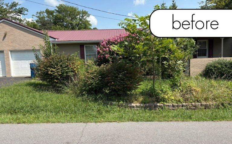Grassy yard with trees. A channel of fallen leaves runs through the yard.