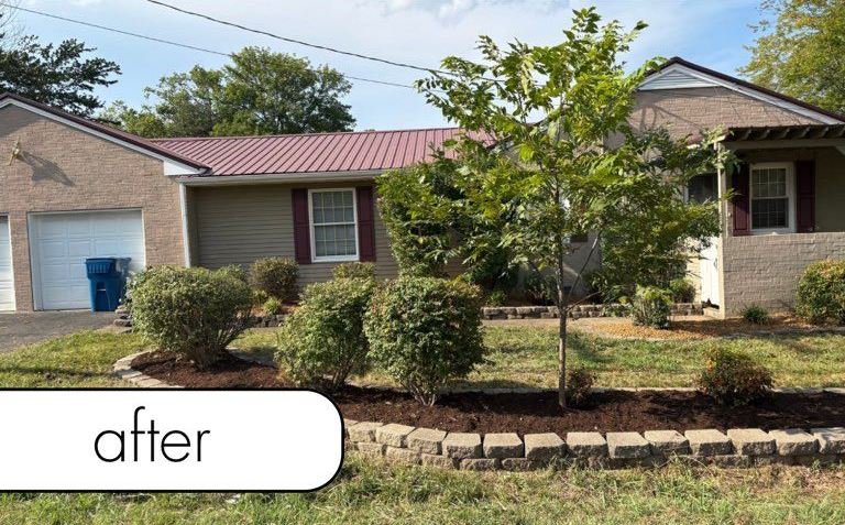 Rocky path through a grassy area, surrounded by trees.