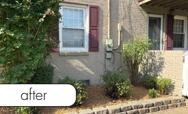 Rocky path through a grassy area, surrounded by trees.
