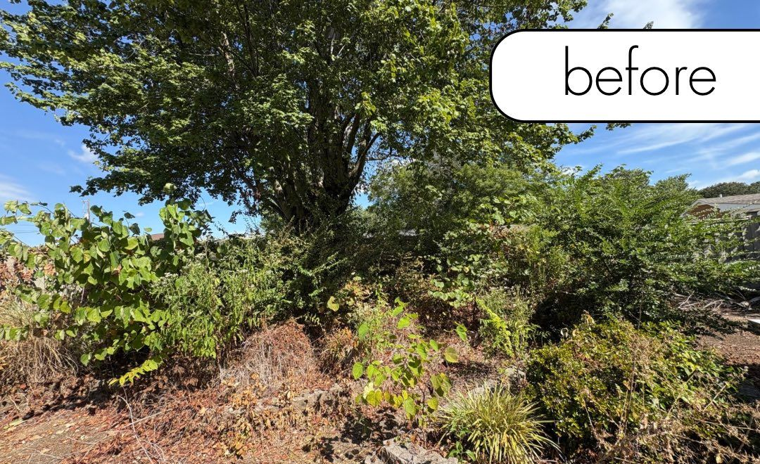 A brick building with a black lantern next to a white fence and a small garden on a sunny day.