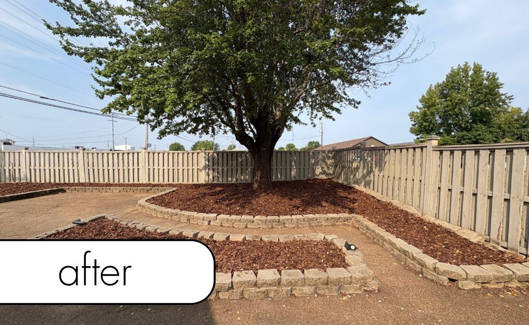 Rocky path through a grassy area, surrounded by trees.