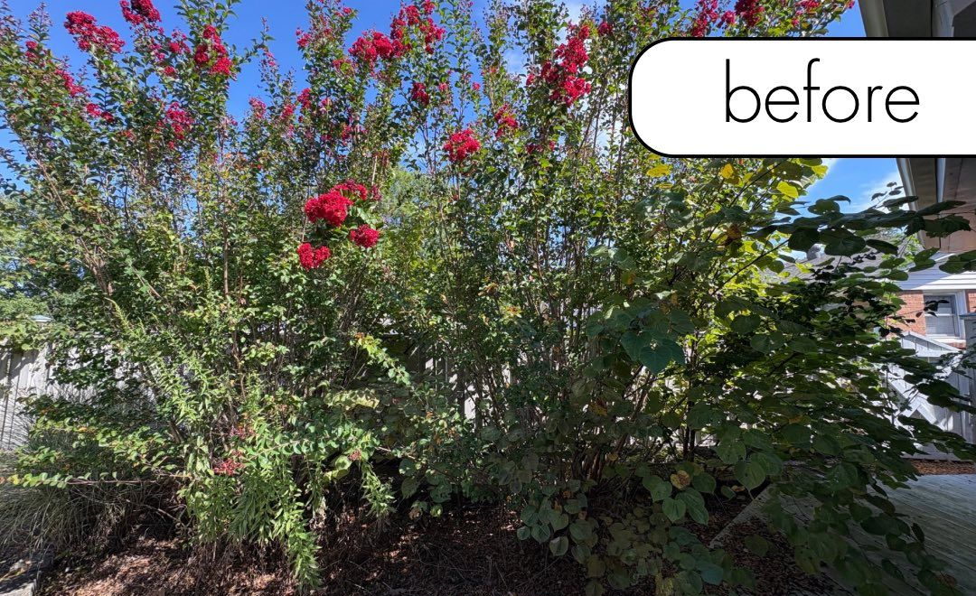 A brick building with a black lantern next to a white fence and a small garden on a sunny day.