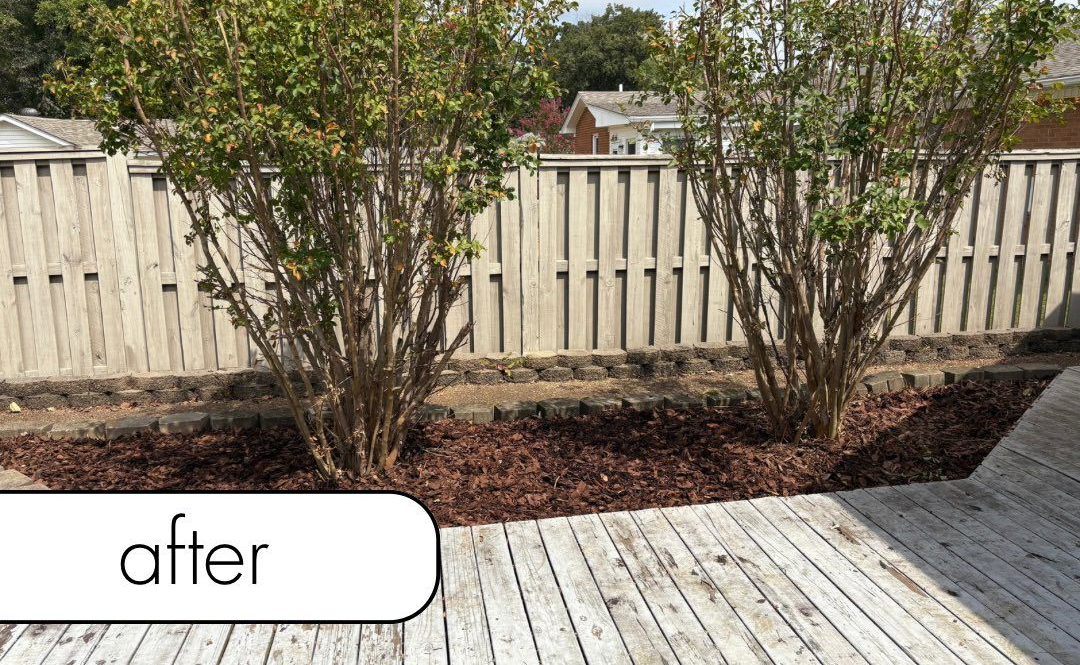 White fence with dark mulch bed, small bushes, brick wall, and blue sky.