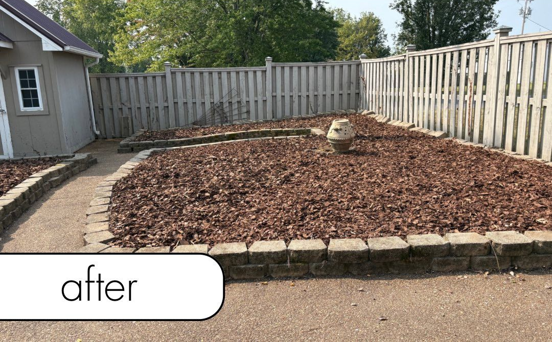 Rocky path through a grassy area, surrounded by trees.