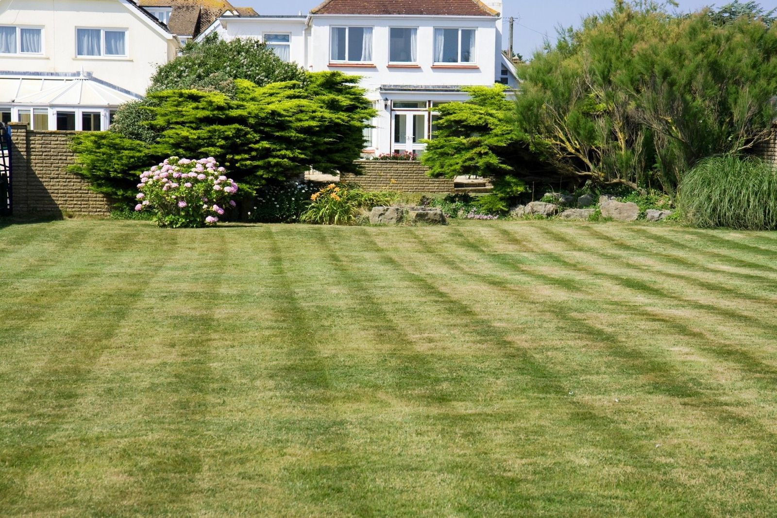 Lawn with striped pattern in front of a white house with trees and bushes.