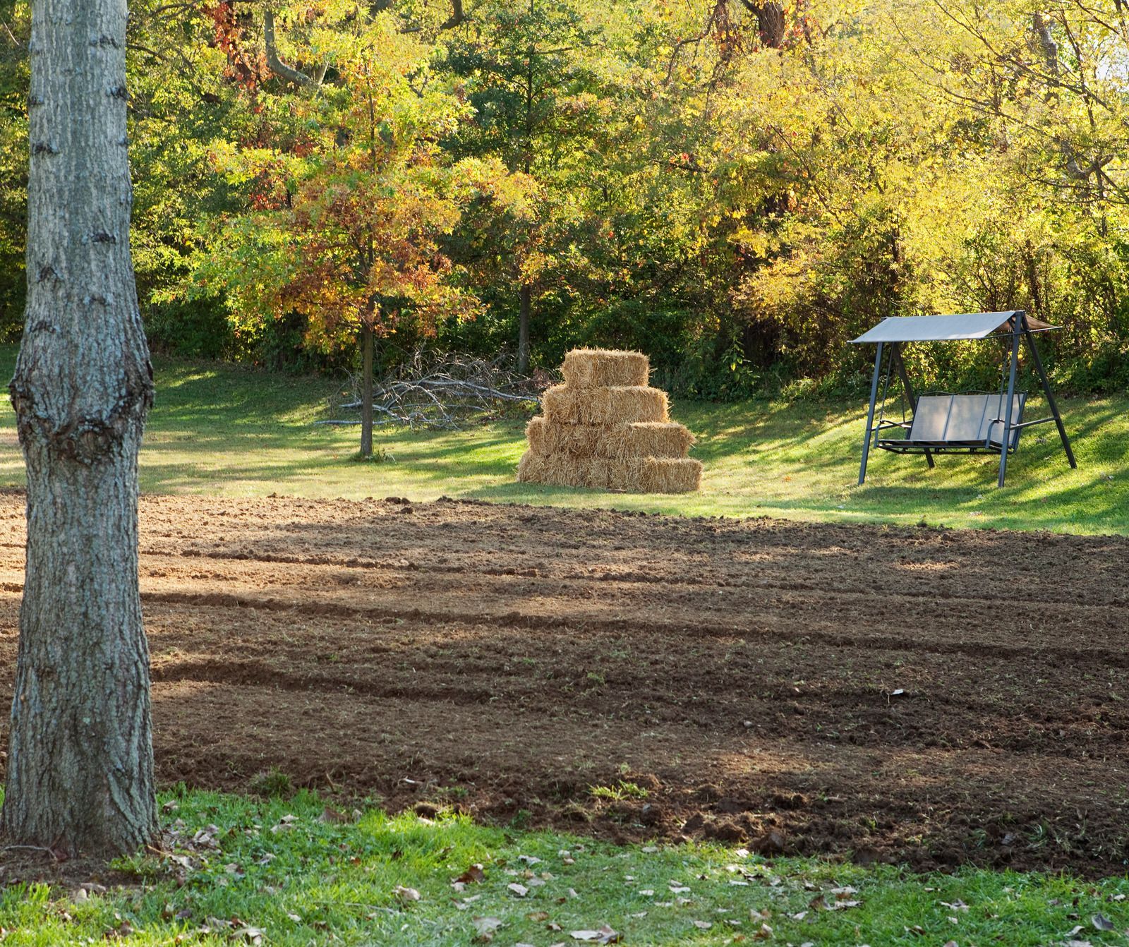 Prepared garden bed in yard; tree, hay bales, and swing set in background.