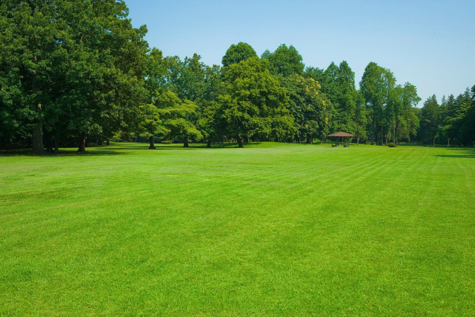 Vast green lawn with trees in background, small gazebo, under a clear blue sky.