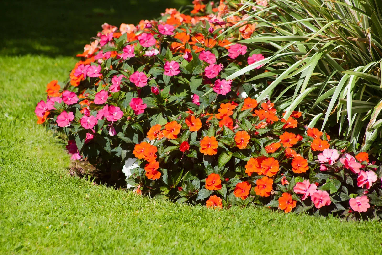 Woman in dark green uniform smiles, holding papers, amidst indoor plants.