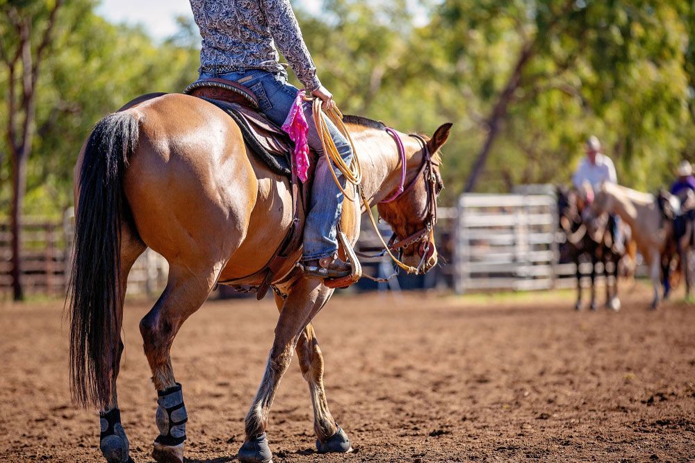 A Woman Is Riding A Horse In A Dirt Arena — COOLIT NT In Noonamah, NT