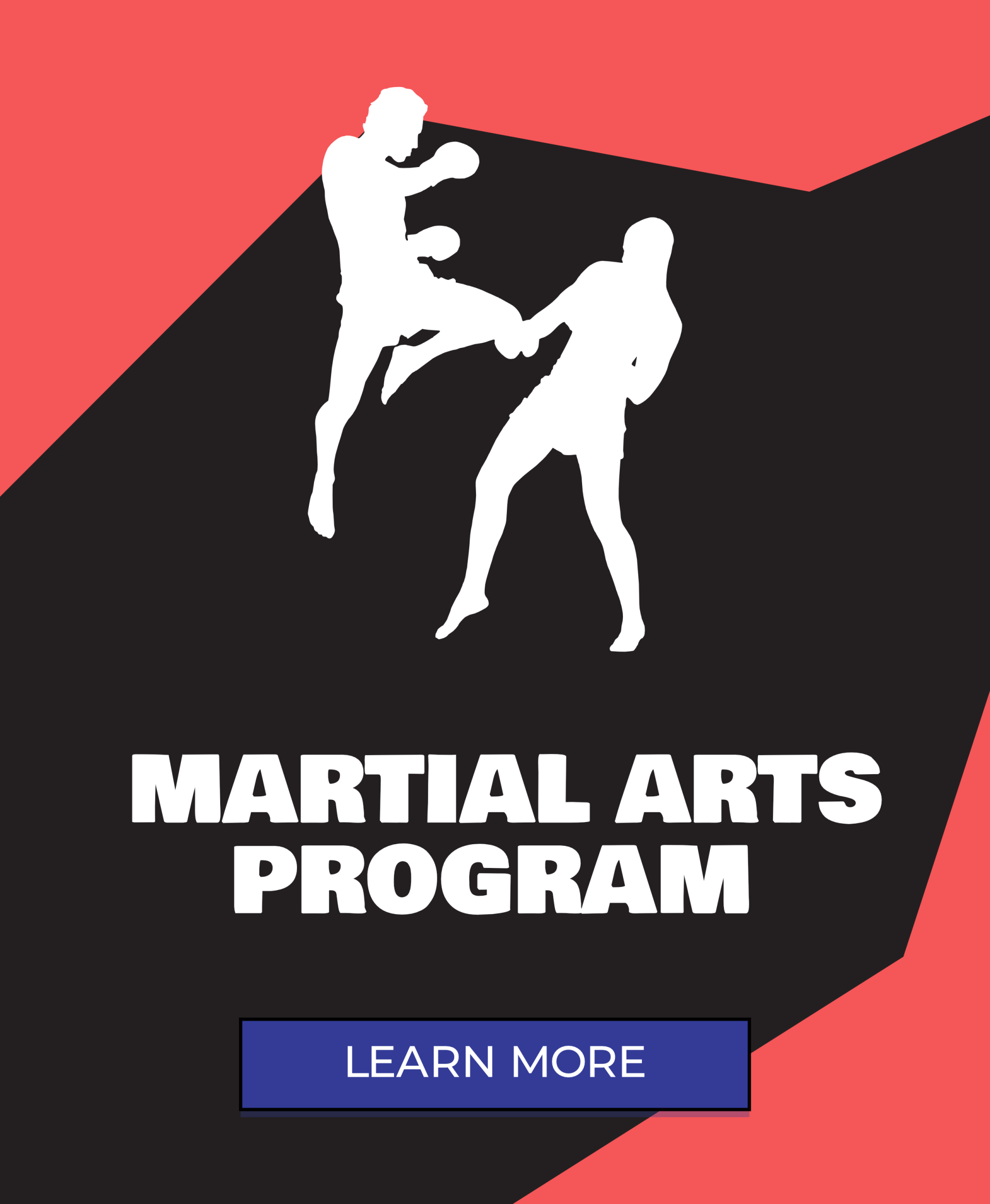 Martial Arts Program Website button