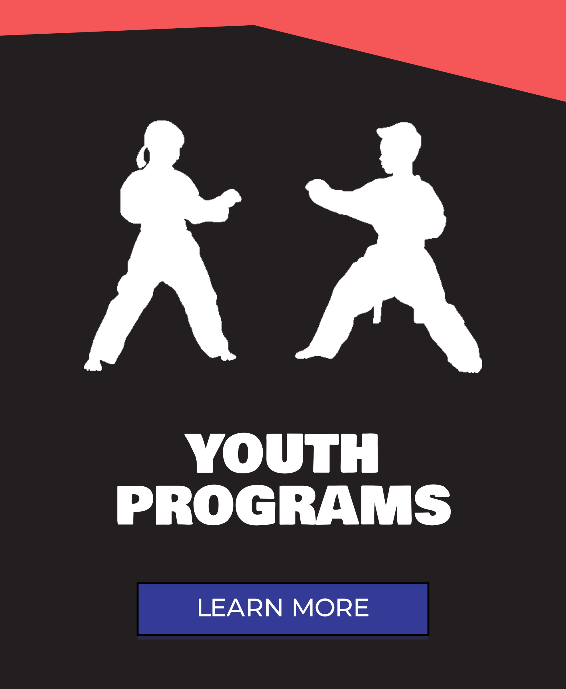 Youth Programs Website button
