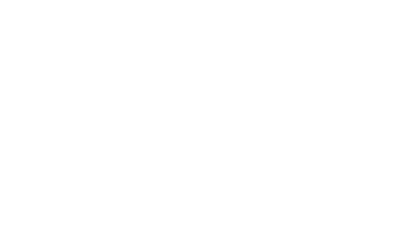 Zjzs Elevates