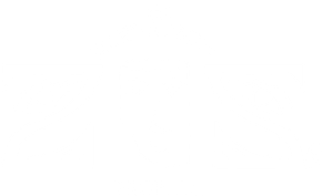 Zjzs Elevates