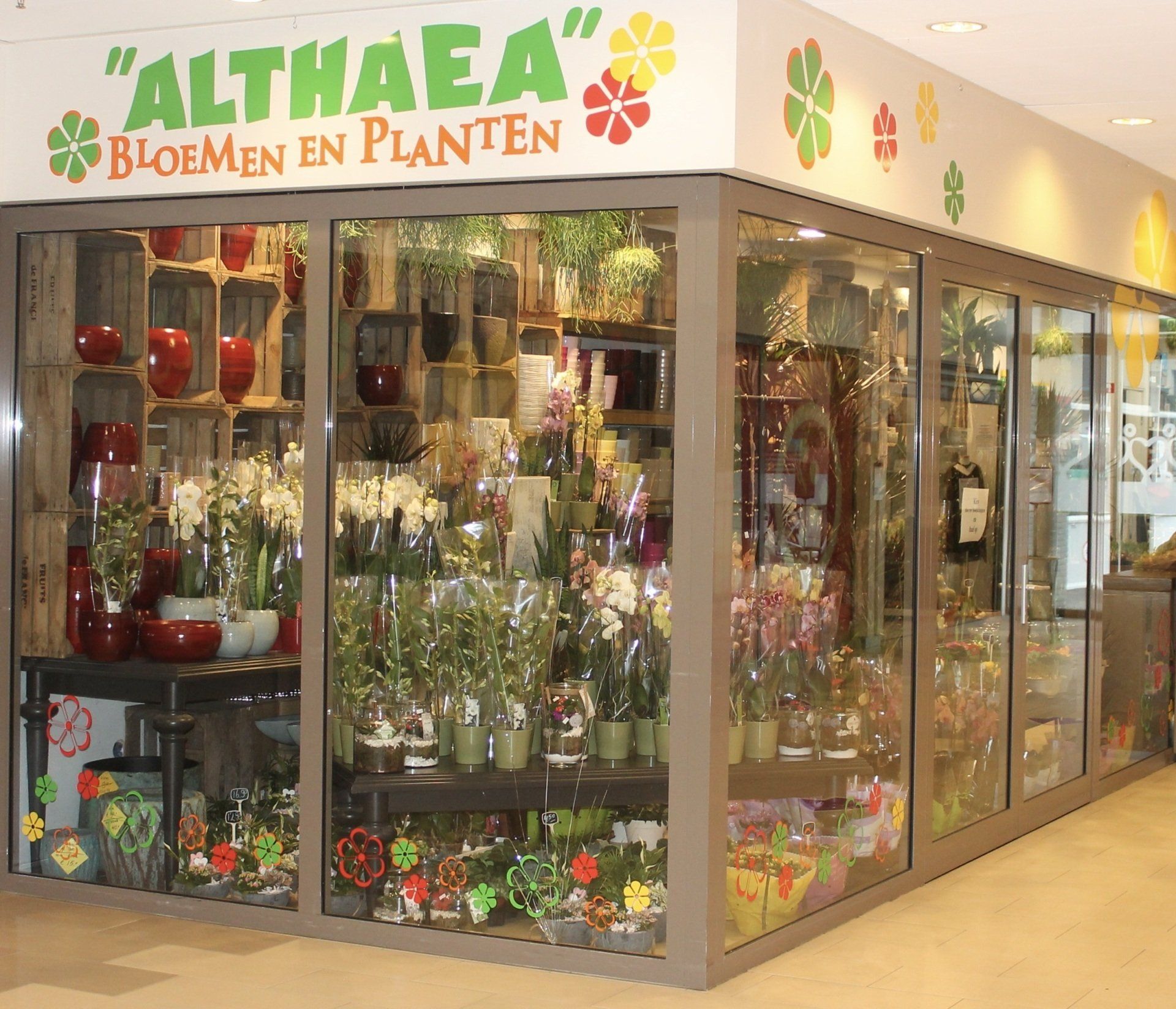 foto van de winkel van Althaea Bloemen en Planten Planten koop je bij Althaea Bloemen en Planten in het overdekte winkelcentrum Stadsdennen in Harderwijk