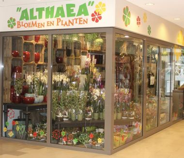 foto van de winkel van Althaea Bloemen en Planten Planten koop je bij Althaea Bloemen en Planten in het overdekte winkelcentrum Stadsdennen in Harderwijk