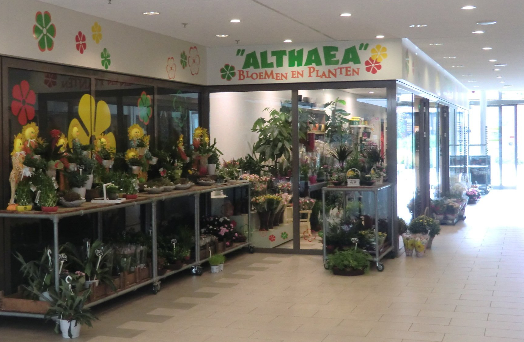 Bloemenwinkel Althaea Bloemen en Planten