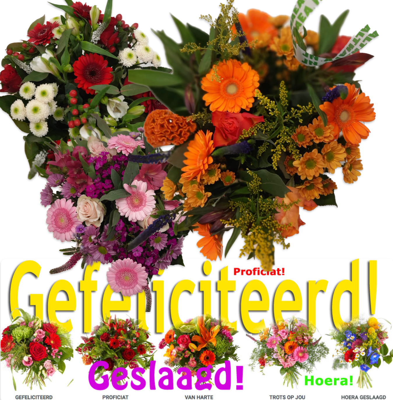 Mooie boeketten voor de geslaagden bij Althaea Bloemen