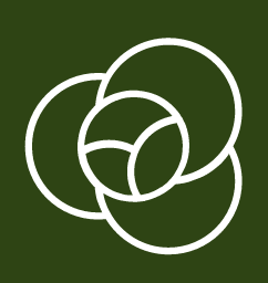 Bij Althaea Bloemen en Planten ontvang je 7 dagen vaasgarantie