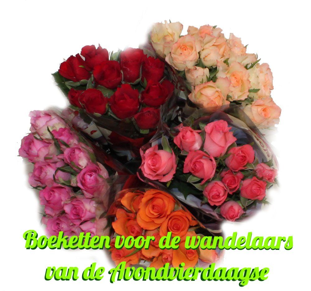 Bloemen voor de lopers van de avondvierdaagse haal je bij Althaea Bloemsierkunst in Winkelcentrum Stadsdennen