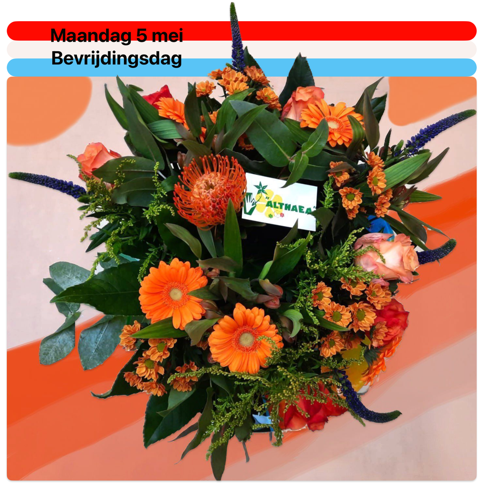Mooi oranje bloemen voor Koningsdag