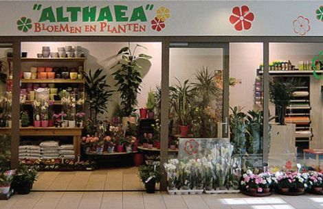 Althaea Bloemen en Planten is gevestigd in Harderwijk in het overdekte winkelcentrum Stadsdennen.