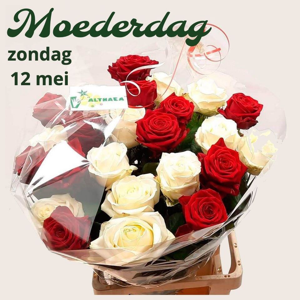 Een boeket van witte en rode rozen voor moederdag bij Althaea in Harderwijk