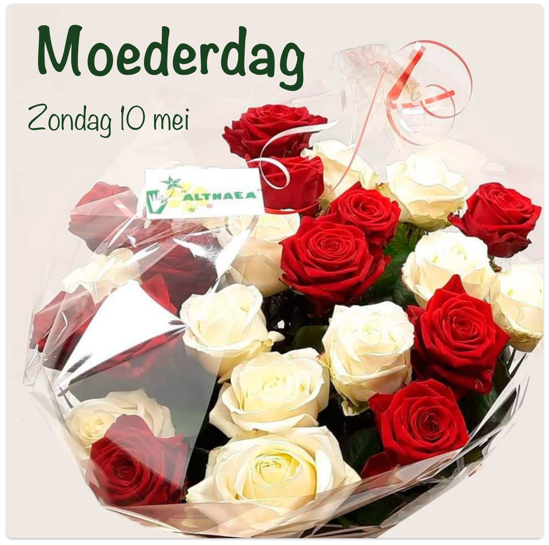 Bestel je boeket voor secretaressedag bij Althaea Bloemen